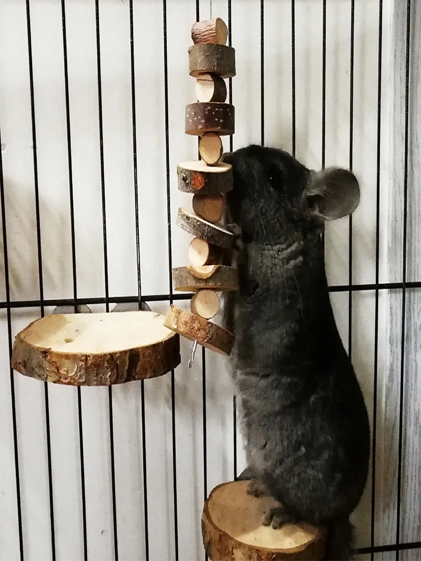 Woodworking Rabbet - Hamster Konijn Kauwspeeltje Natuurlijke Houten Stokken