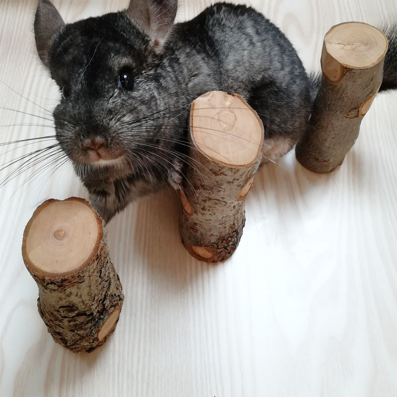 Huisdier Hamster Speelgoed Nat - Woodworking Rabbet recensie en prijs
