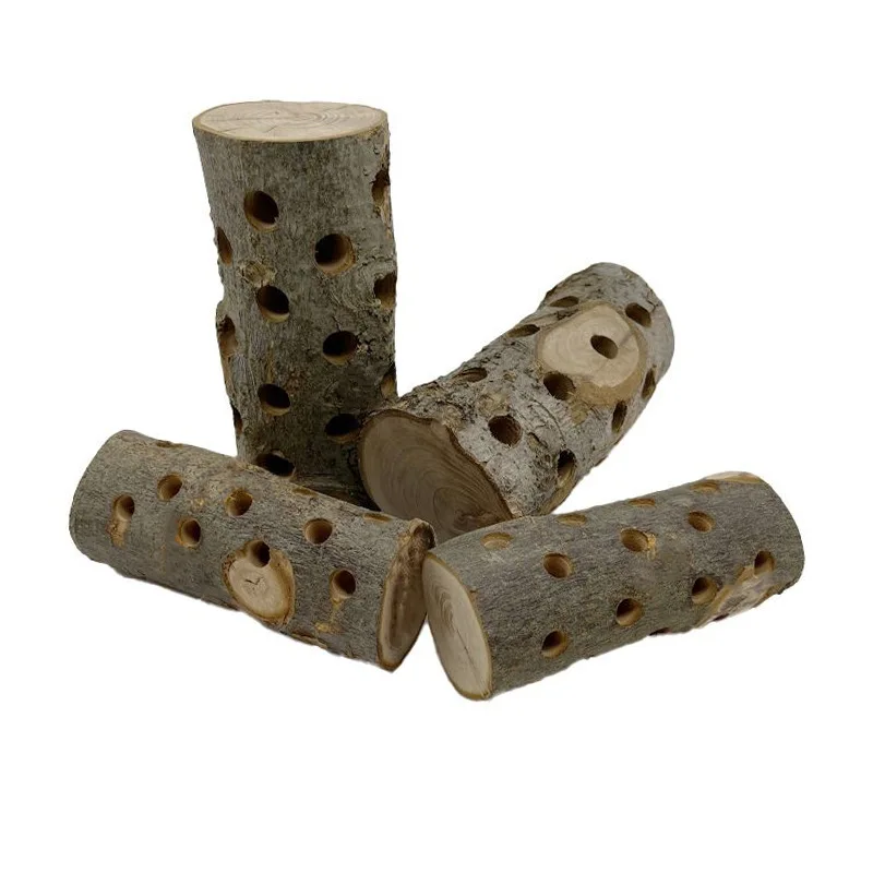 Kauwspeeltje voor kleine diere - Woodworking Rabbet recensie en prijs